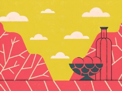 Single Knowledge Base Article
